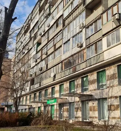 белые на жилянской